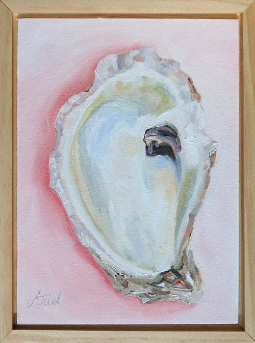 Cotton Candy Oyster