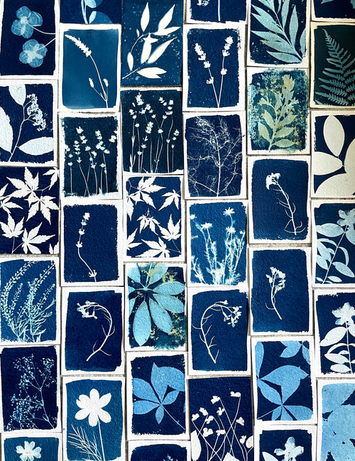 Custom Sarah Rafferty Cyanotype