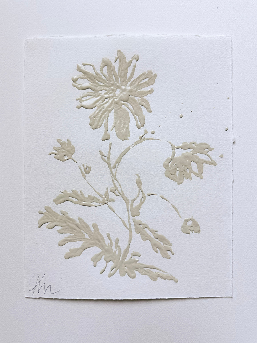 Daisy May #4