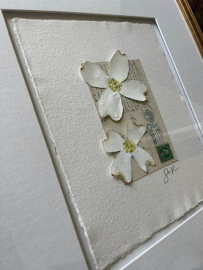 Dogwood Collage I