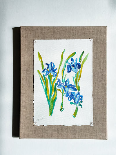 Dutch Iris