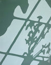 Everyday Shadow