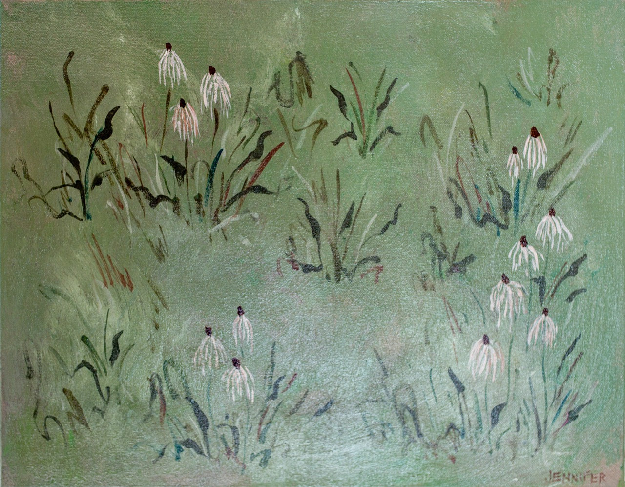 Field in Eucalyptus