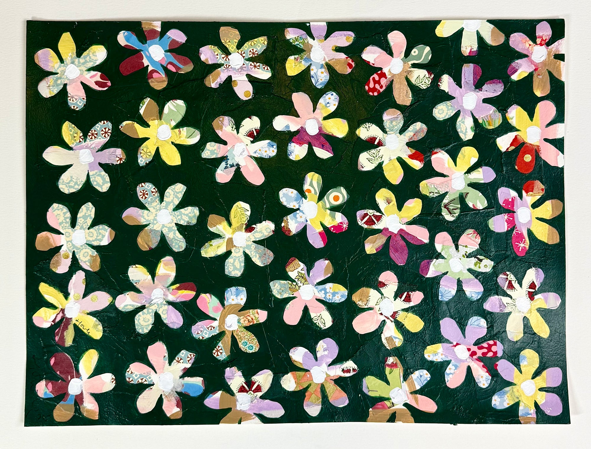 Field of Daisy