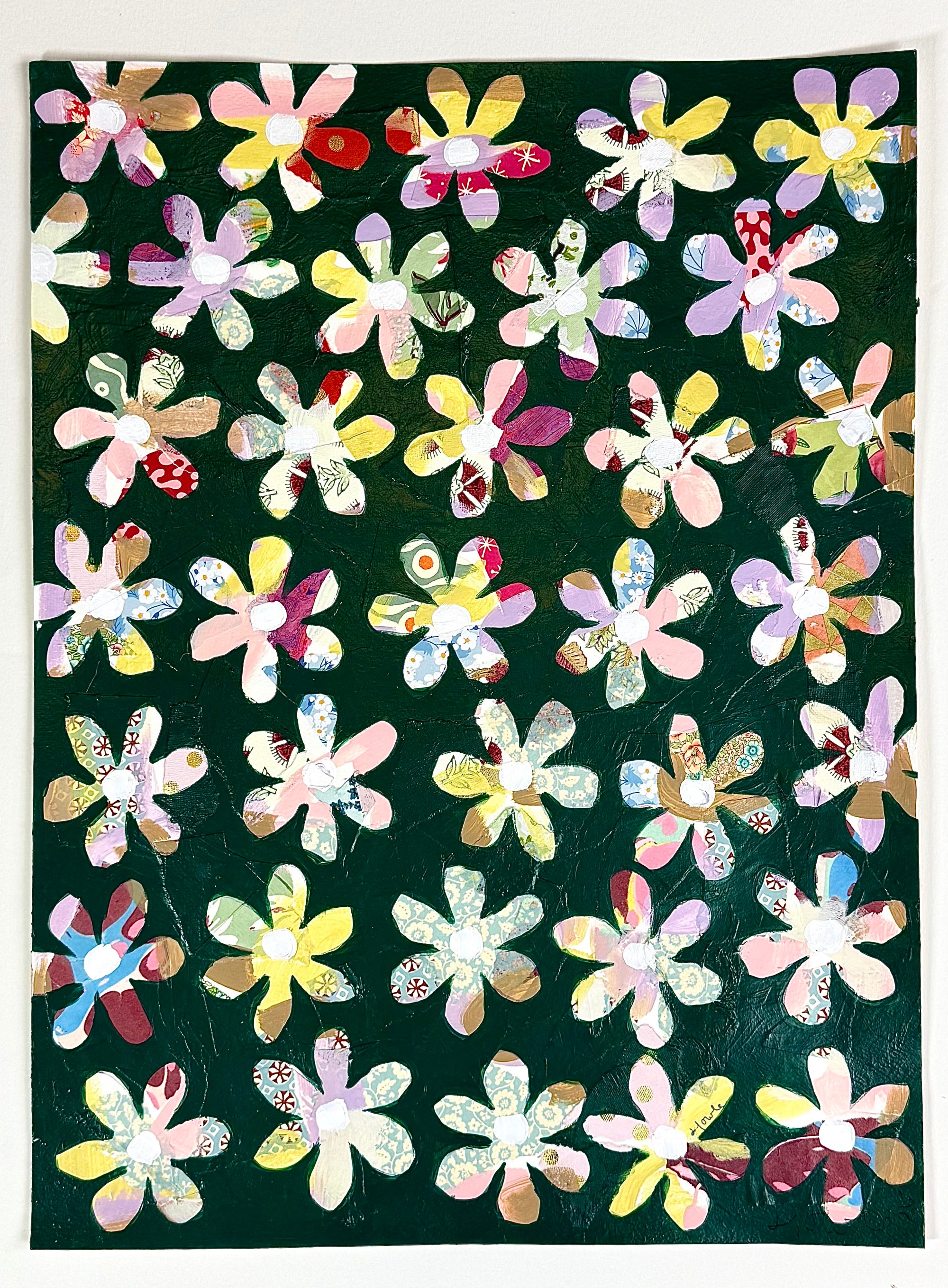 Field of Daisy