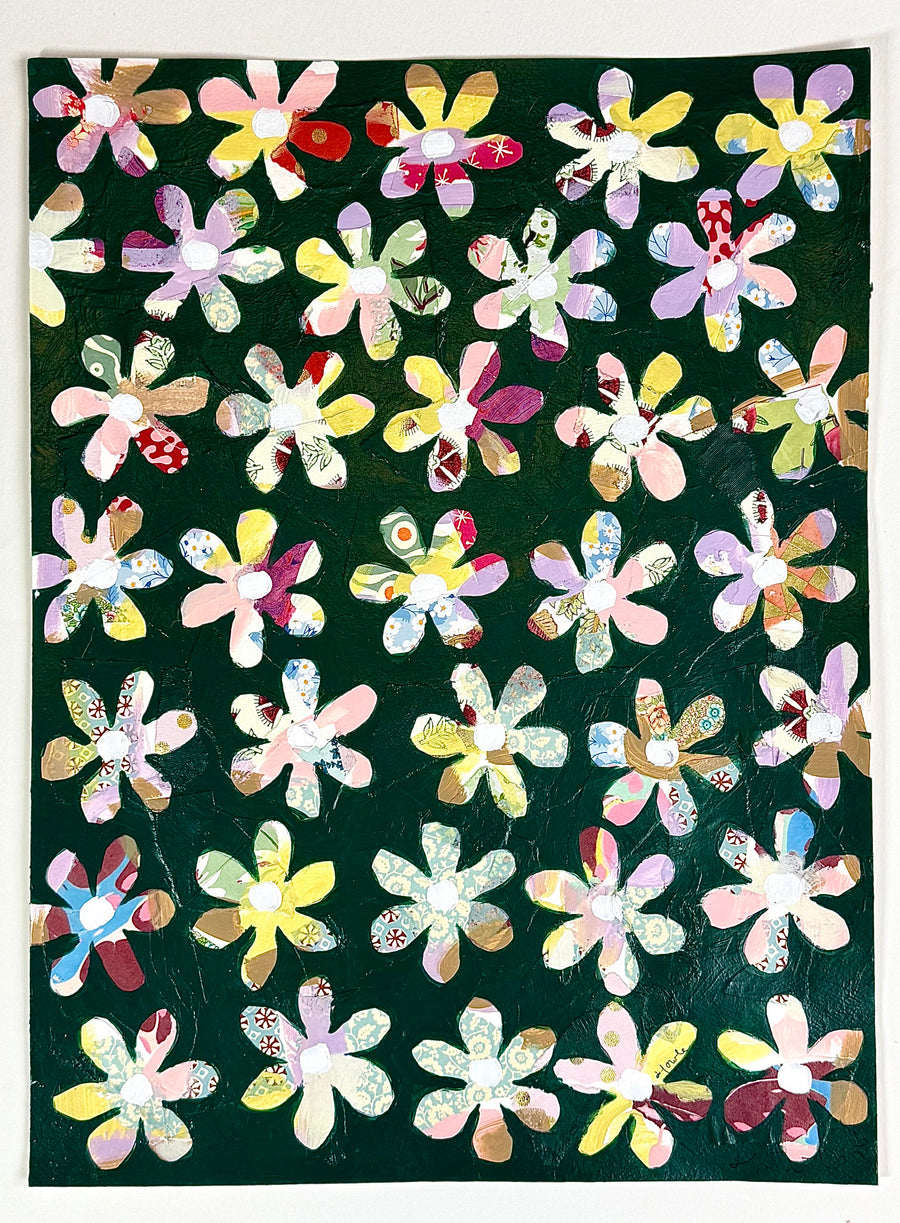 Field of Daisy
