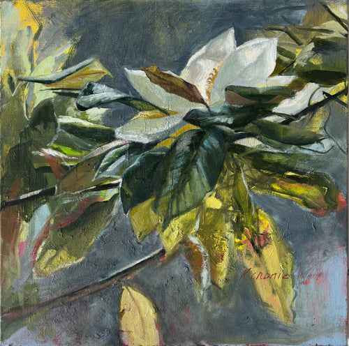 Finding Light 2