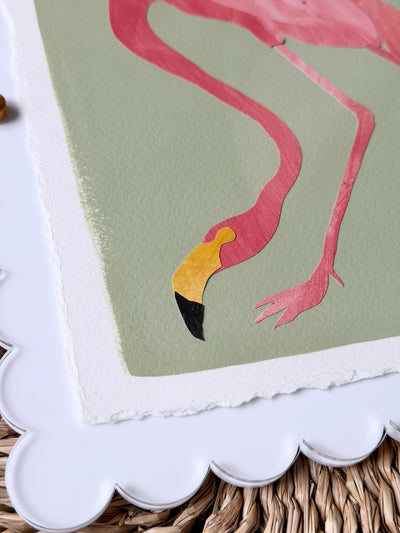 Flamingo on Green