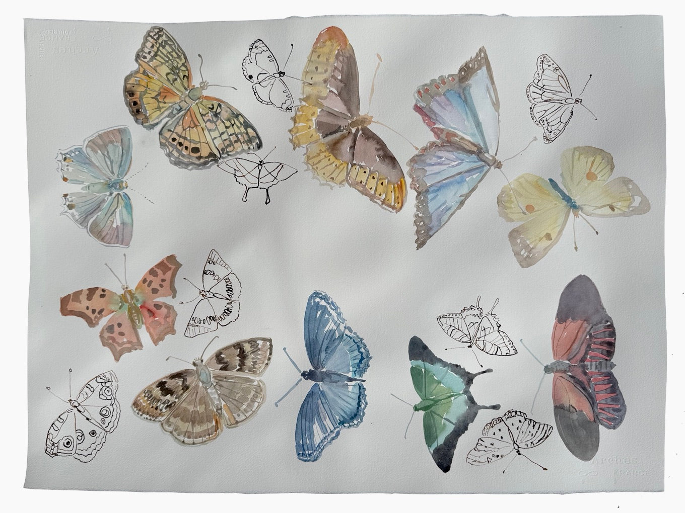 Flight Patterns Big 2