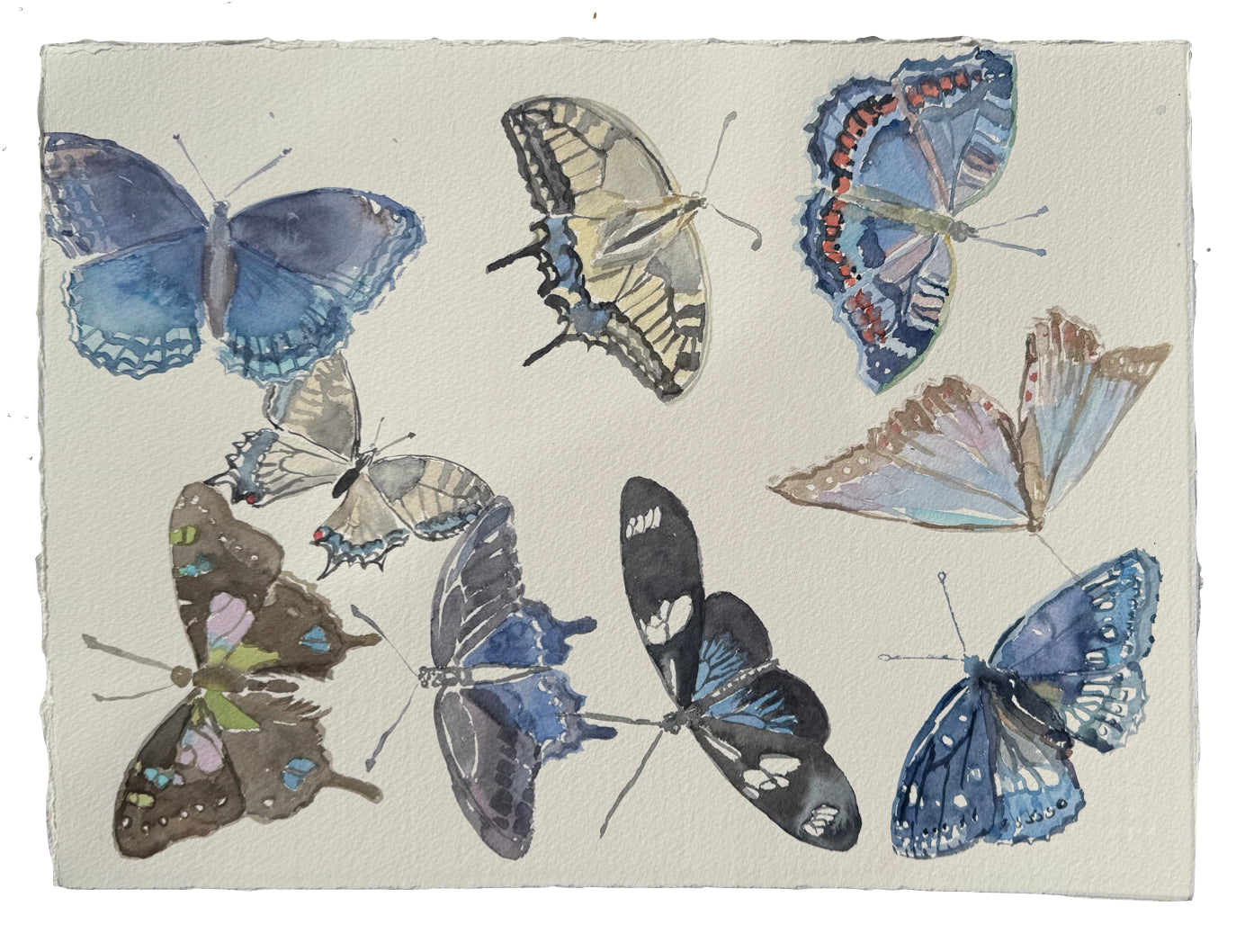 Flight Patterns Blue 1