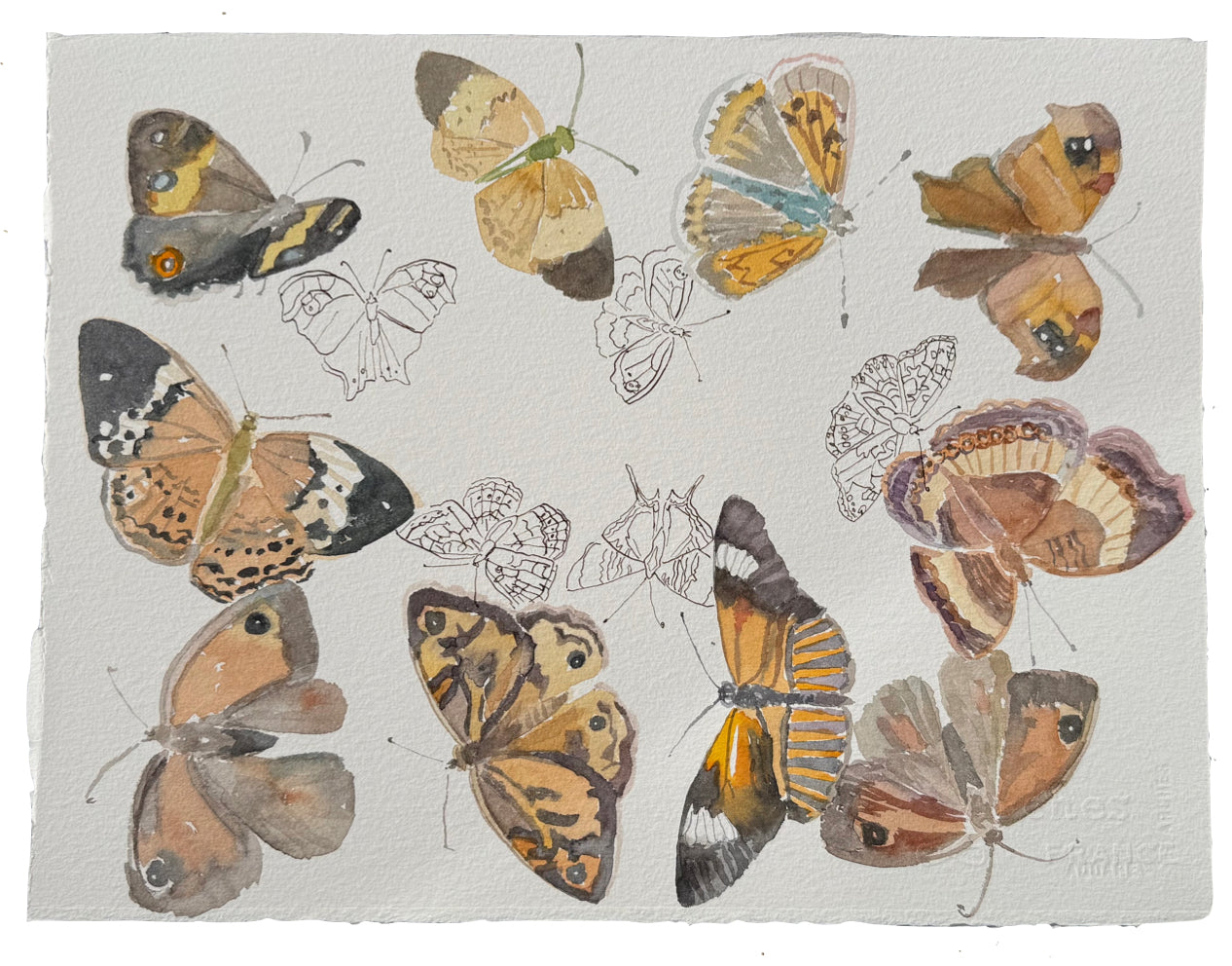 Flight Patterns Brown 3