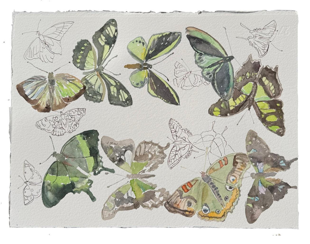 Flight Patterns Green