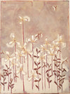 Flower Field I
