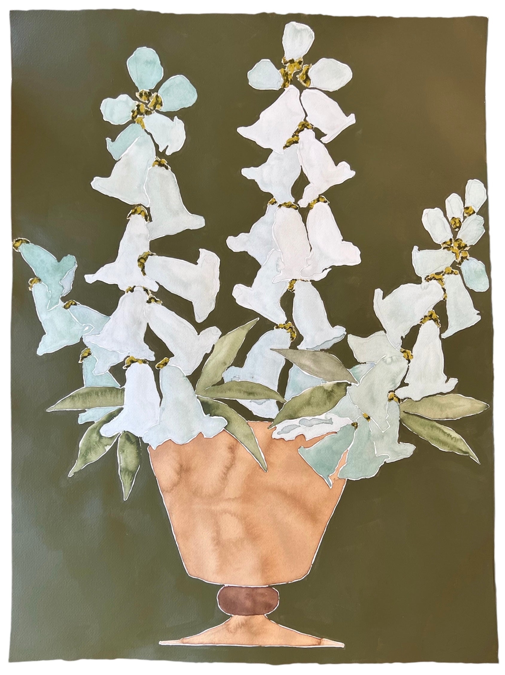 Foxgloves and Olive