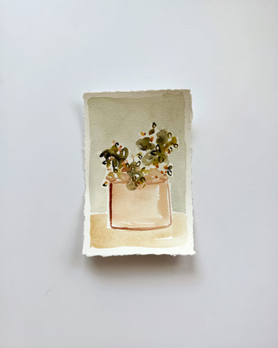 Garden #1