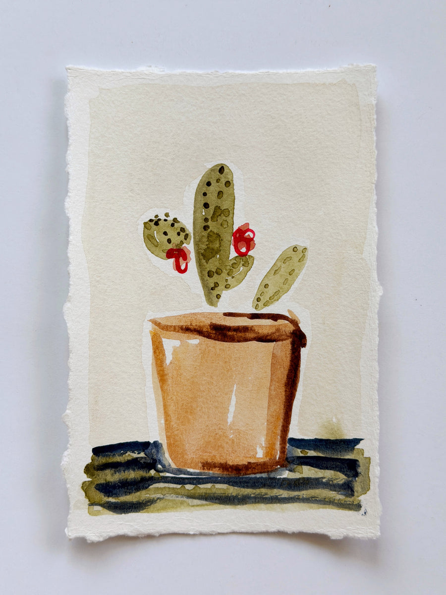 Garden #8