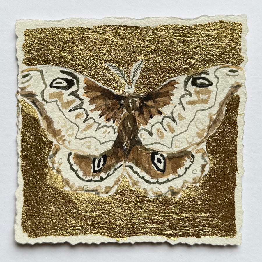Gilded Mini Moth 6