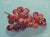 Grape Bunch