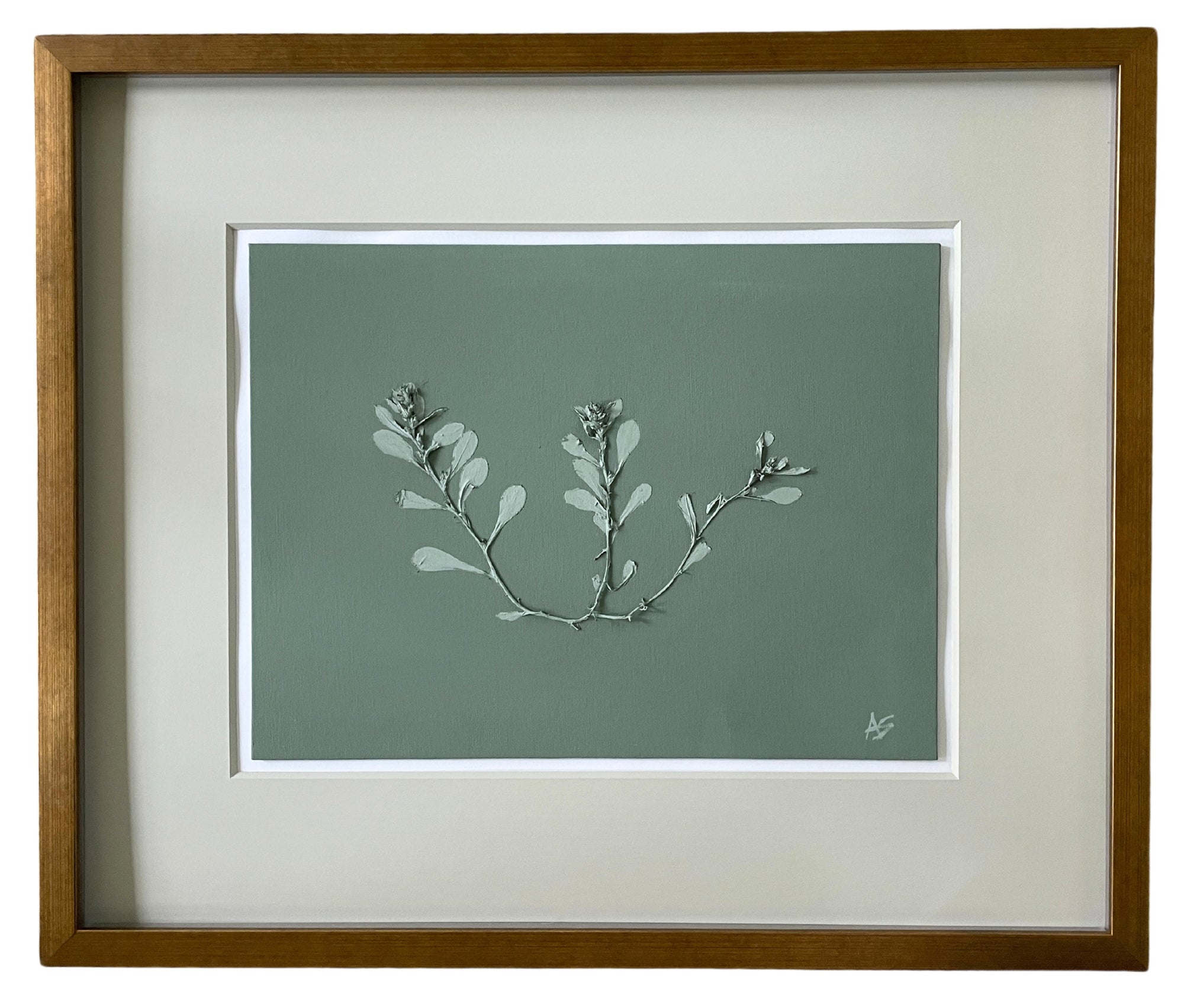 Green Thistle
