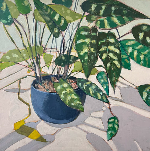 House Plant No. 2