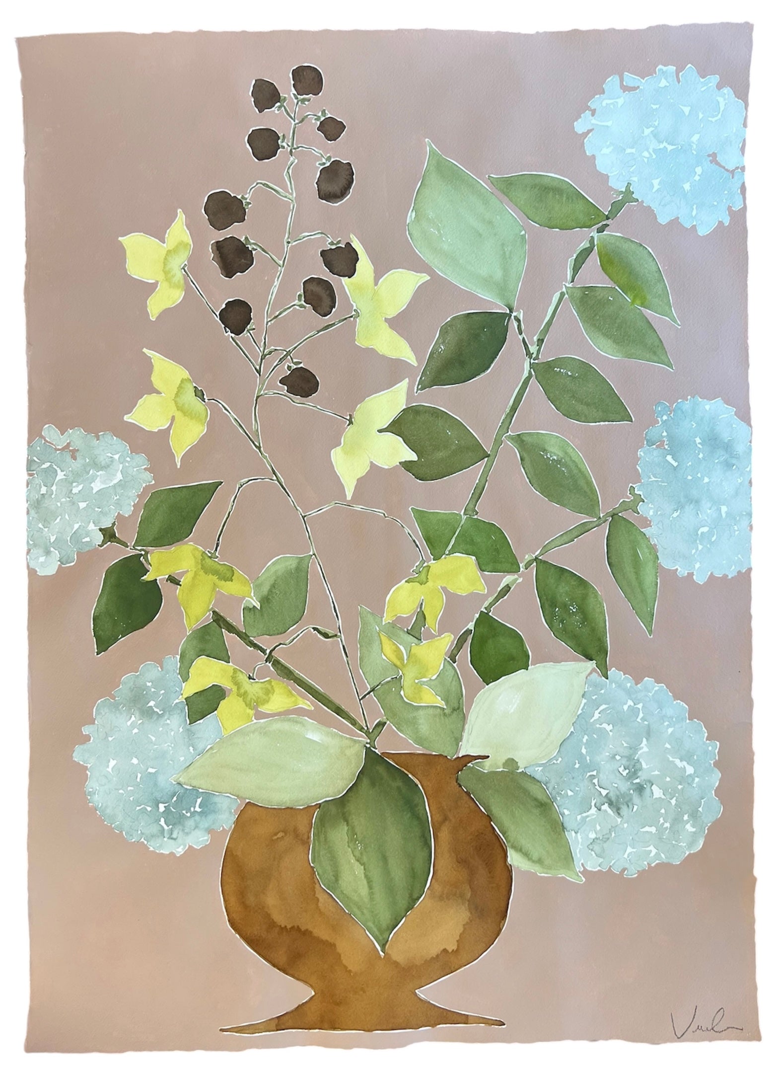 Hydrangea in Ipanema
