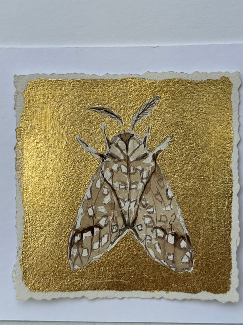 Gilded Mini Moth 5