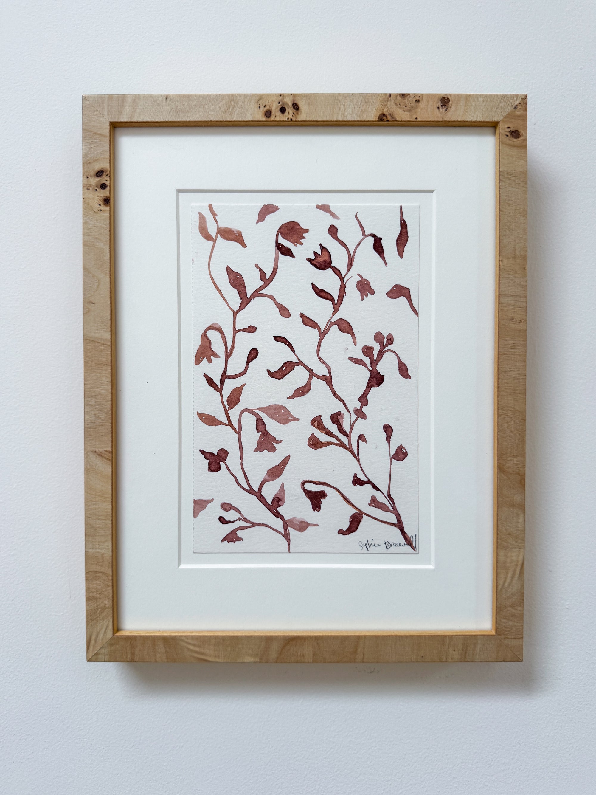 Spring Vines