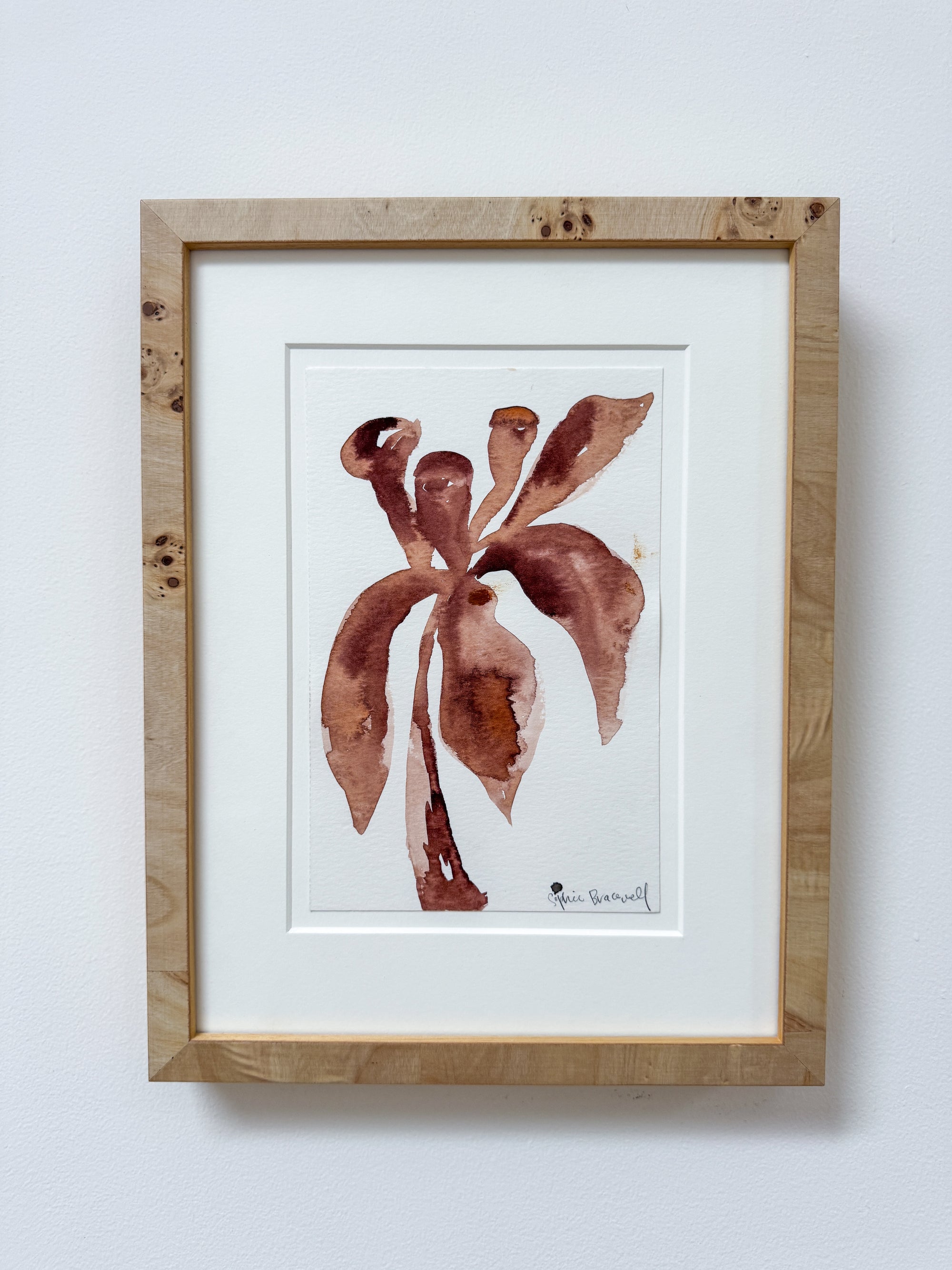 Ceylon Cinnamon