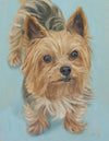 Christy King Pet Portrait