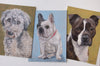 Custom Christy King Pet Portrait