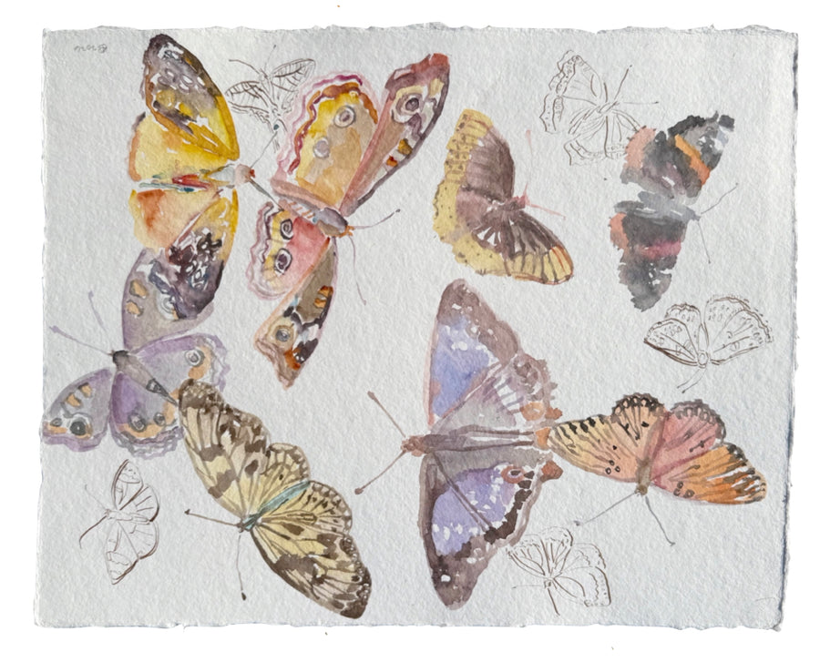 Lavender Flight Patterns