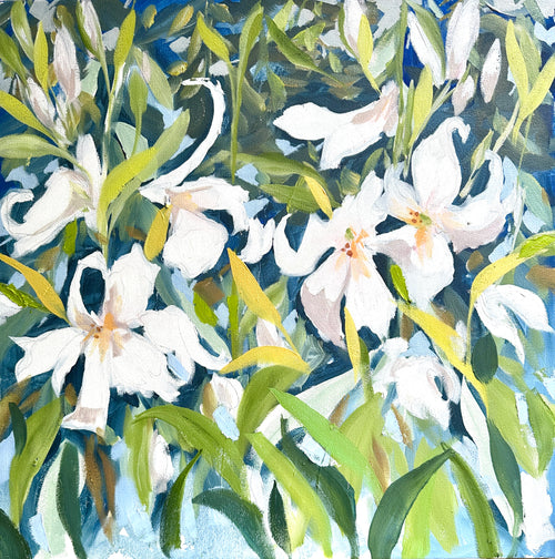 Lillies