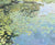 Lilly Pad Pattern II
