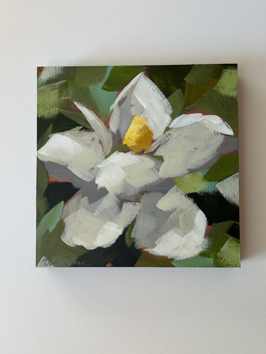 Magnolia Blossom