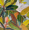 Magnolia Light Study No. 15