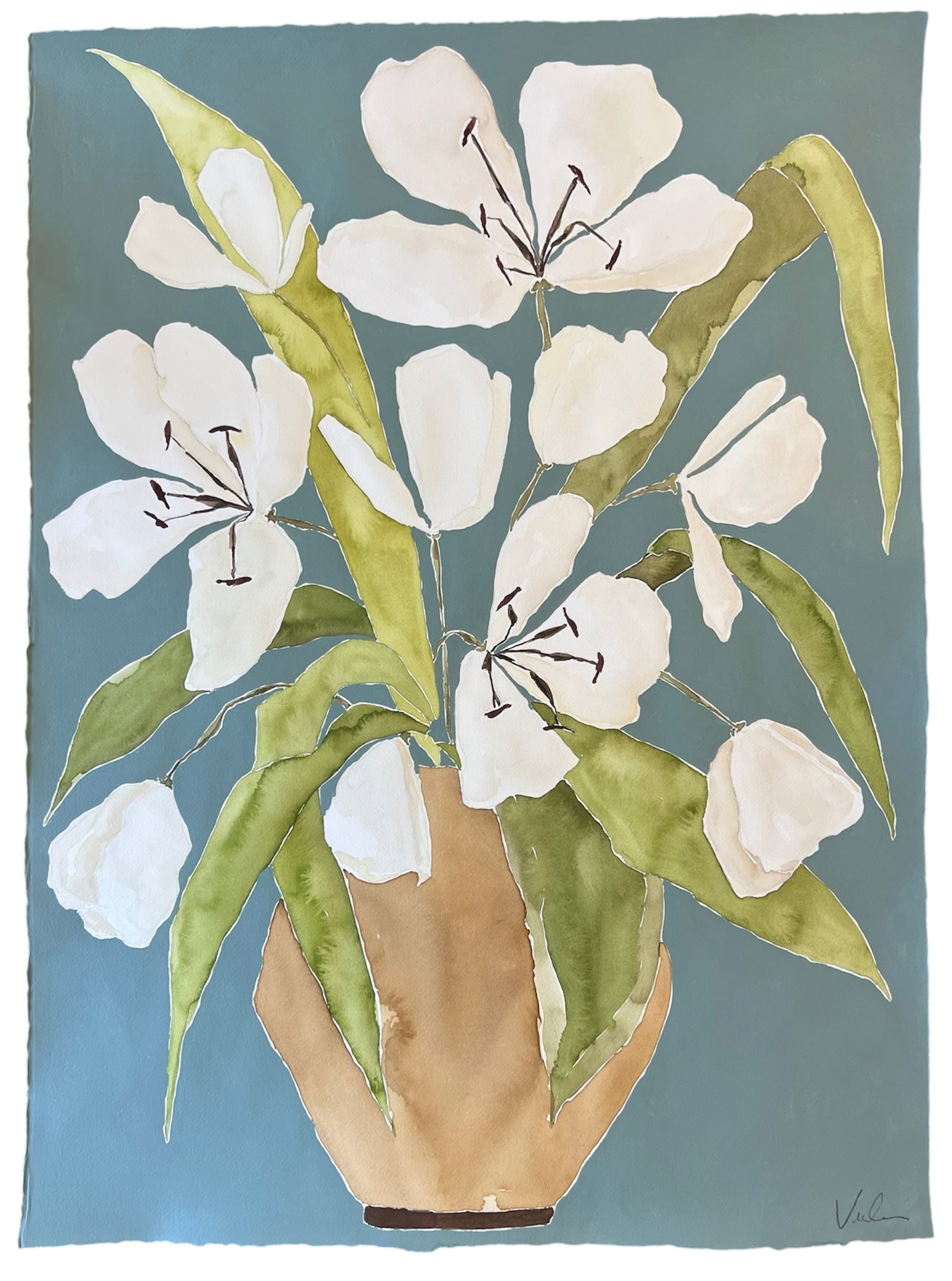 Magnolia Musings