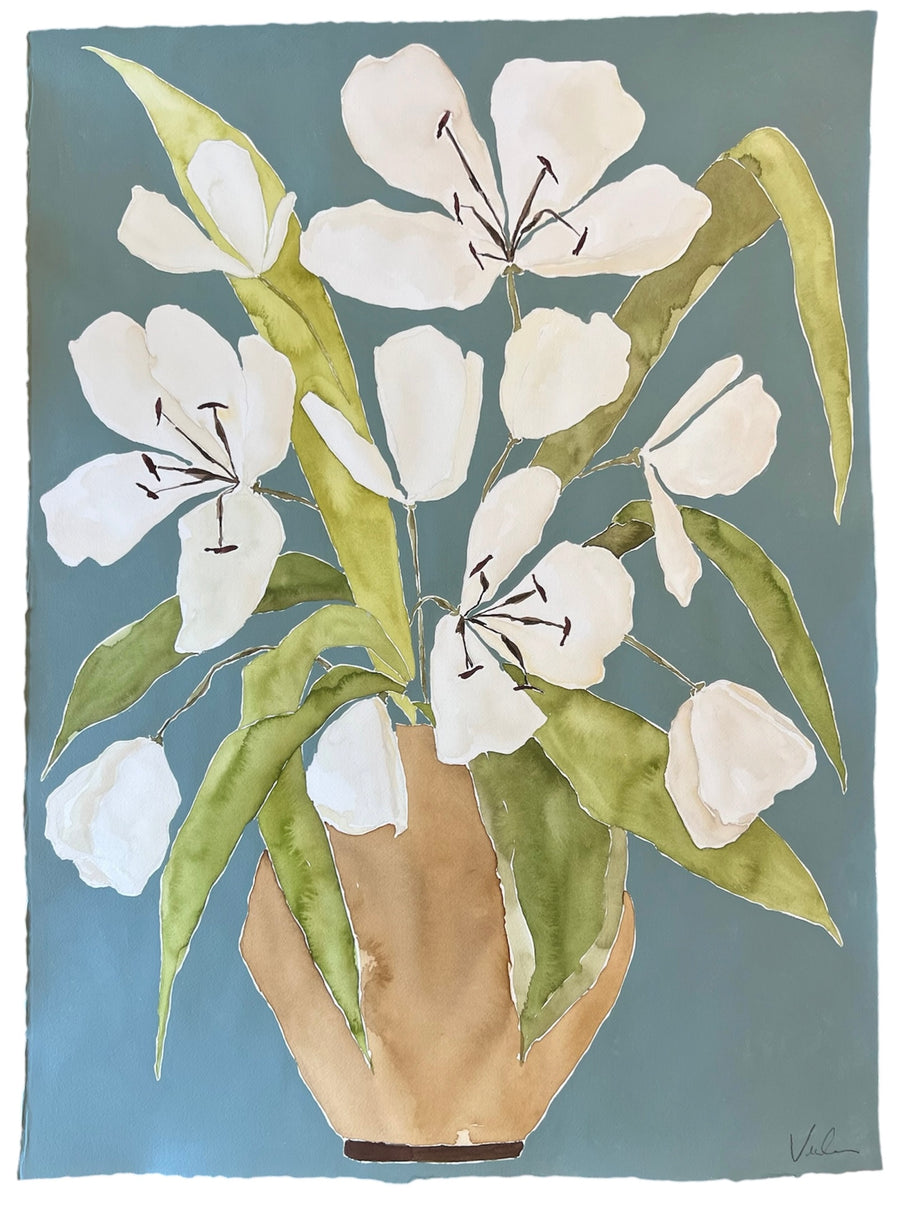 Magnolia Musings