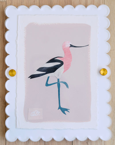 Mini Avocet on Pink