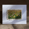 Mini Flower Fields - Cosmos and Daisies