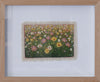 Mini Flower Fields - Cosmos and Daisies