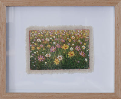 Mini Flower Fields - Cosmos and Daisies