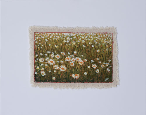 Mini Flower Fields - Daisies