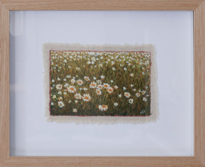 Mini Flower Fields - Daisies