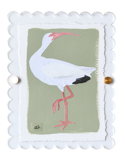 Mini Ibis on Green