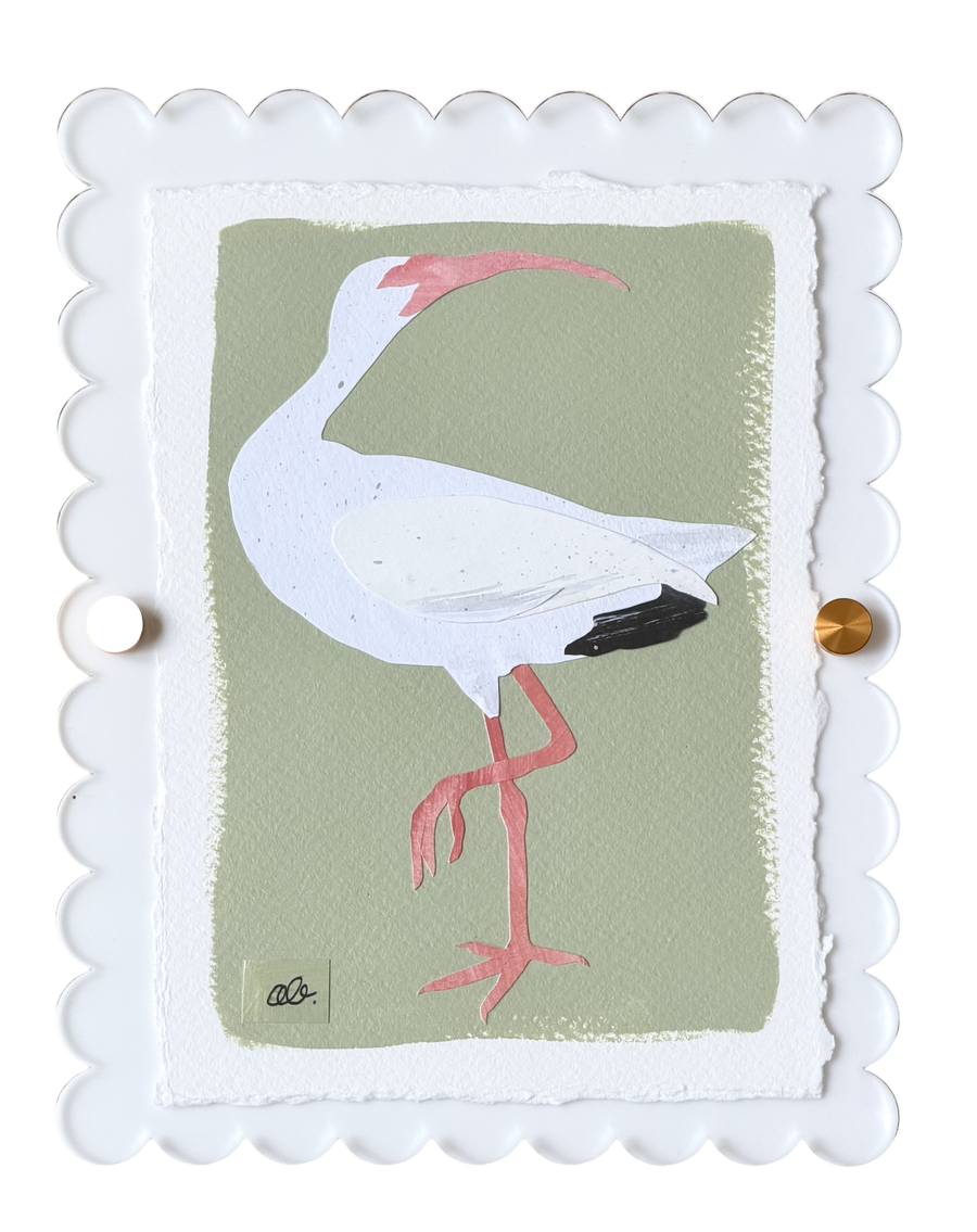Mini Ibis on Green