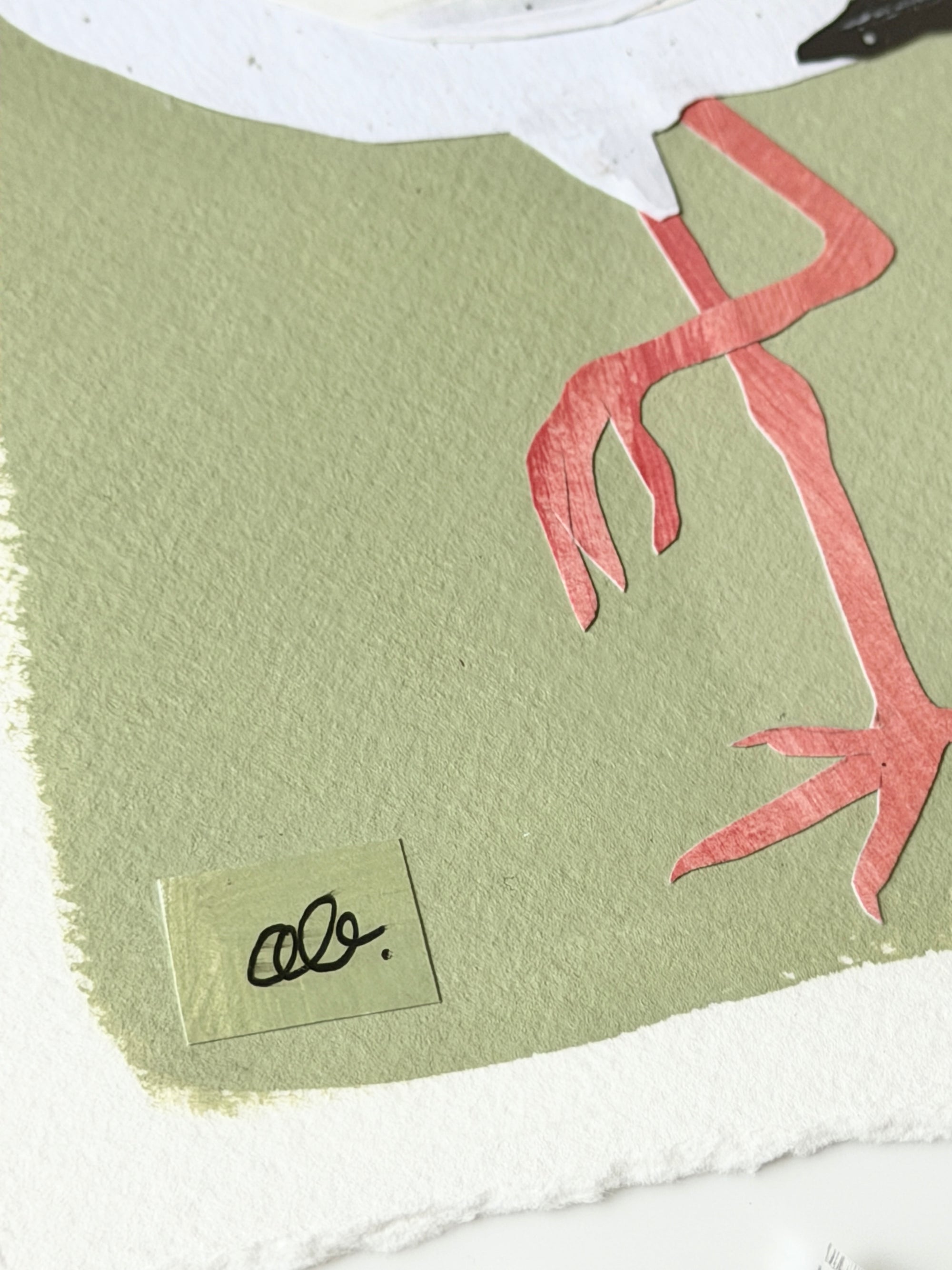 Mini Ibis on Green