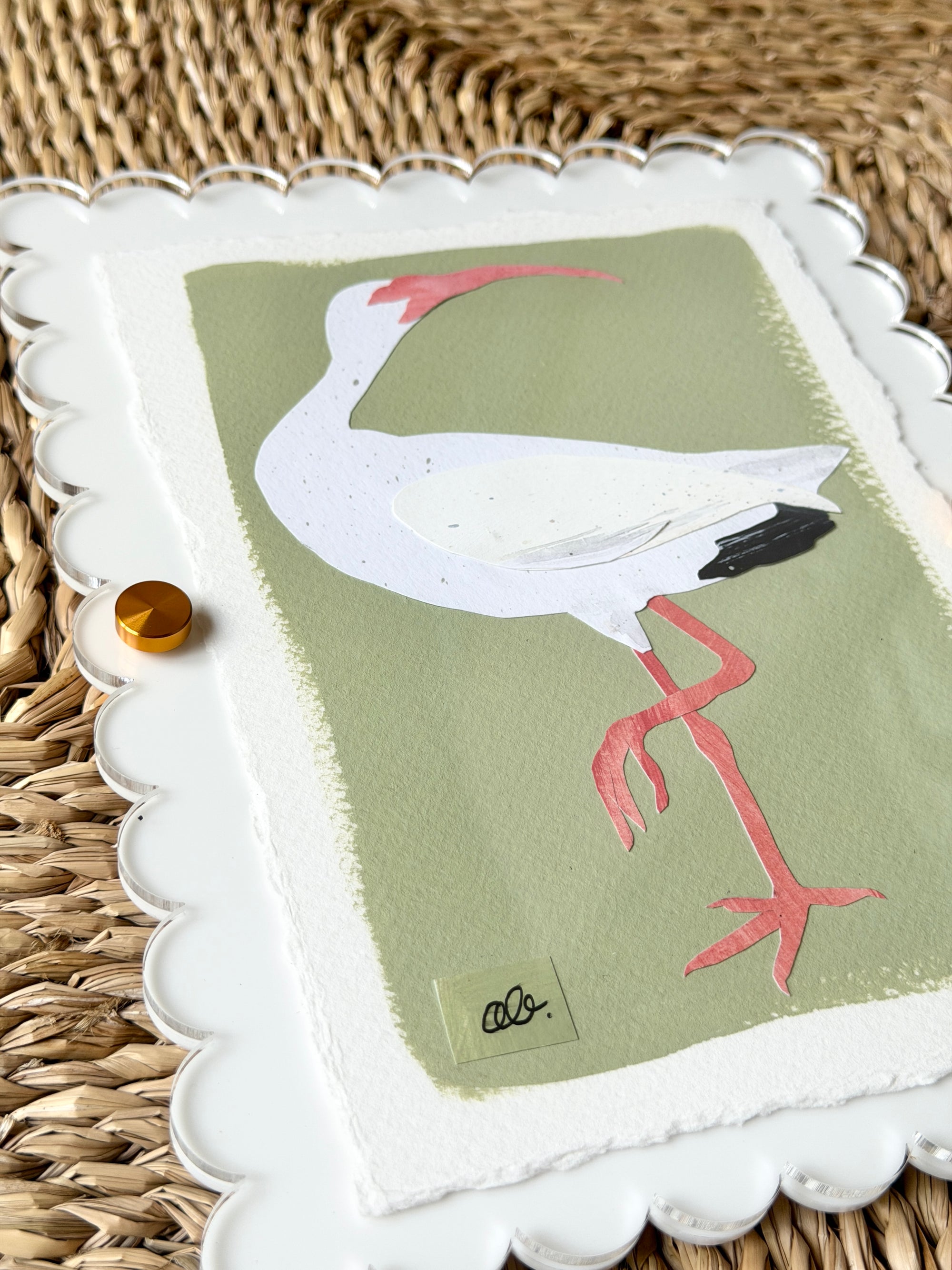 Mini Ibis on Green