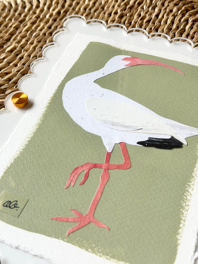 Mini Ibis on Green