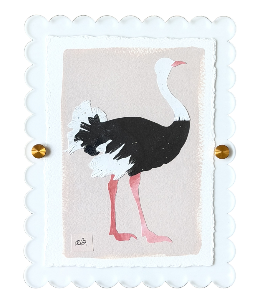 Mini Ostrich on Pink