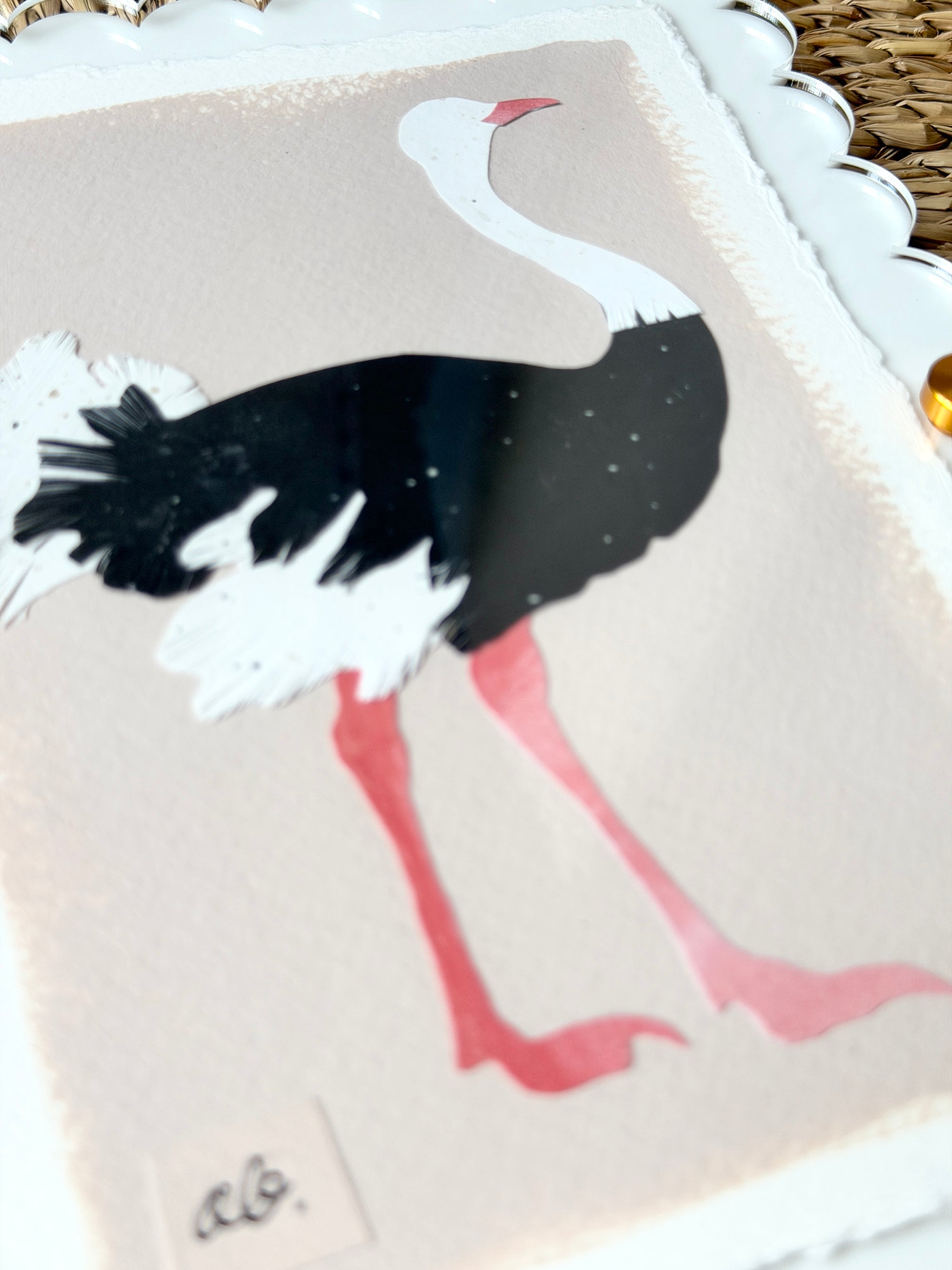 Mini Ostrich on Pink